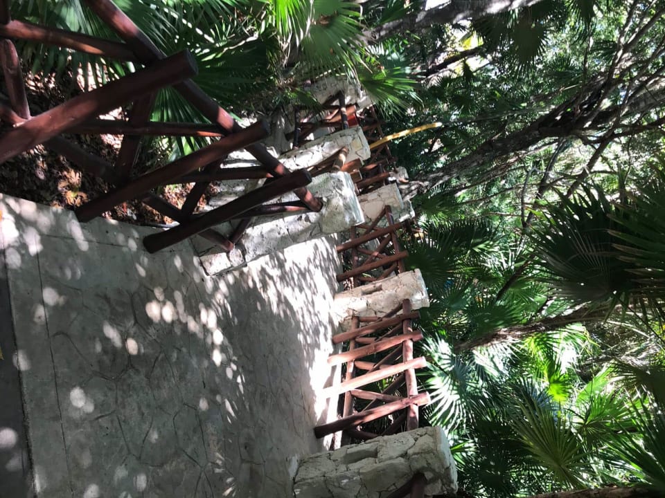 Gartenanlage Iberostar Waves Paraiso Beach