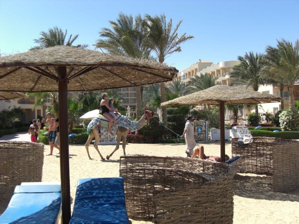 Impressionen am Strand  Sea Star Beau Rivage