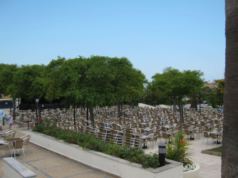 Veranstaltungen blau punta reina