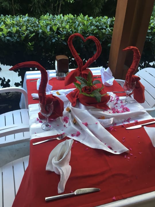 Gastro Well Palace Side