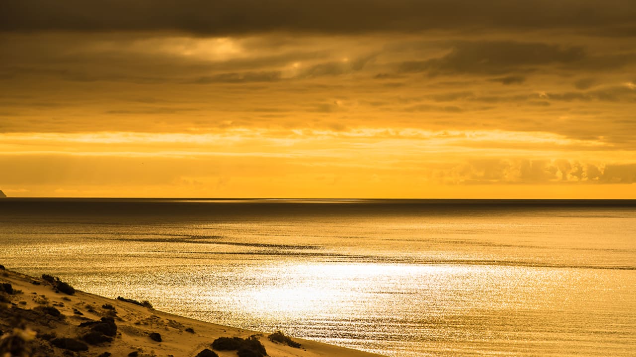 Sonstiges Marina Playa Suite Hotel