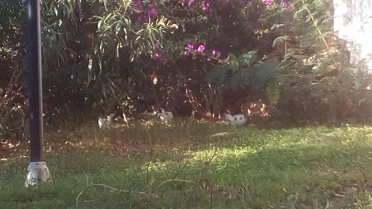 Sonstiges La Finca Marina