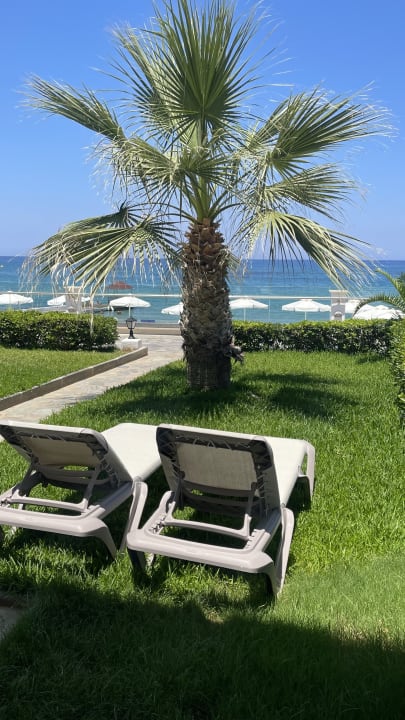 Außenansicht Alexander Beach Hotel & Village Resort