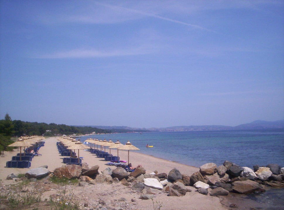 Strand Blue Dolphin Resort Hotel