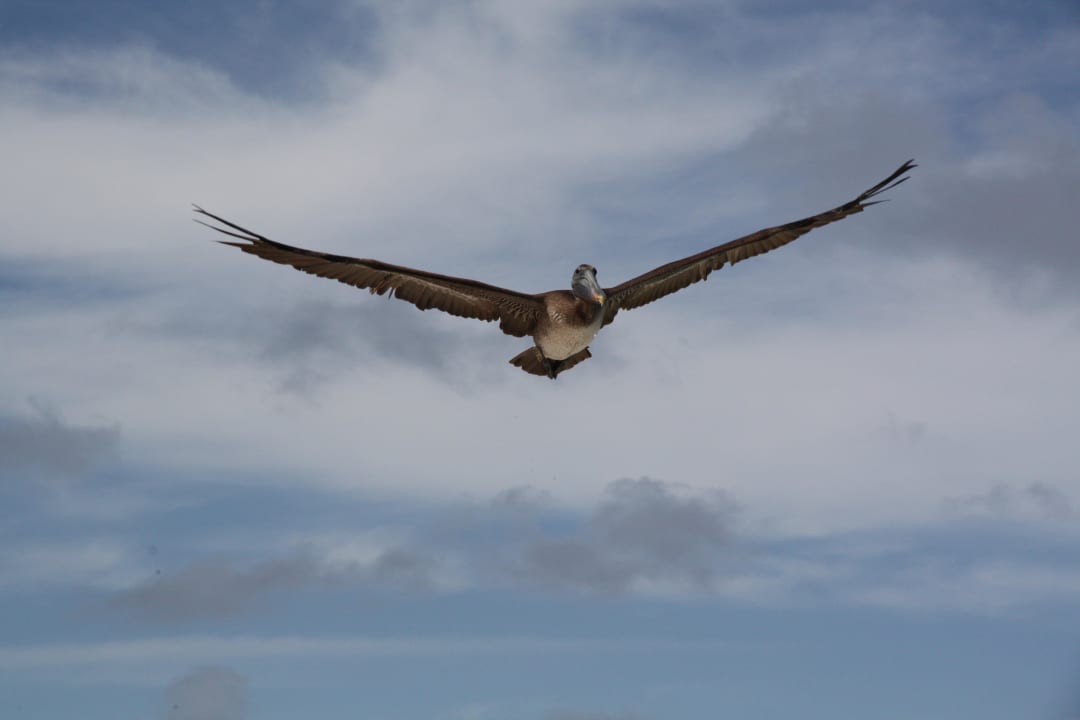 Am Hotelstrand  Punta Cana Princess All Suites Resort & Spa