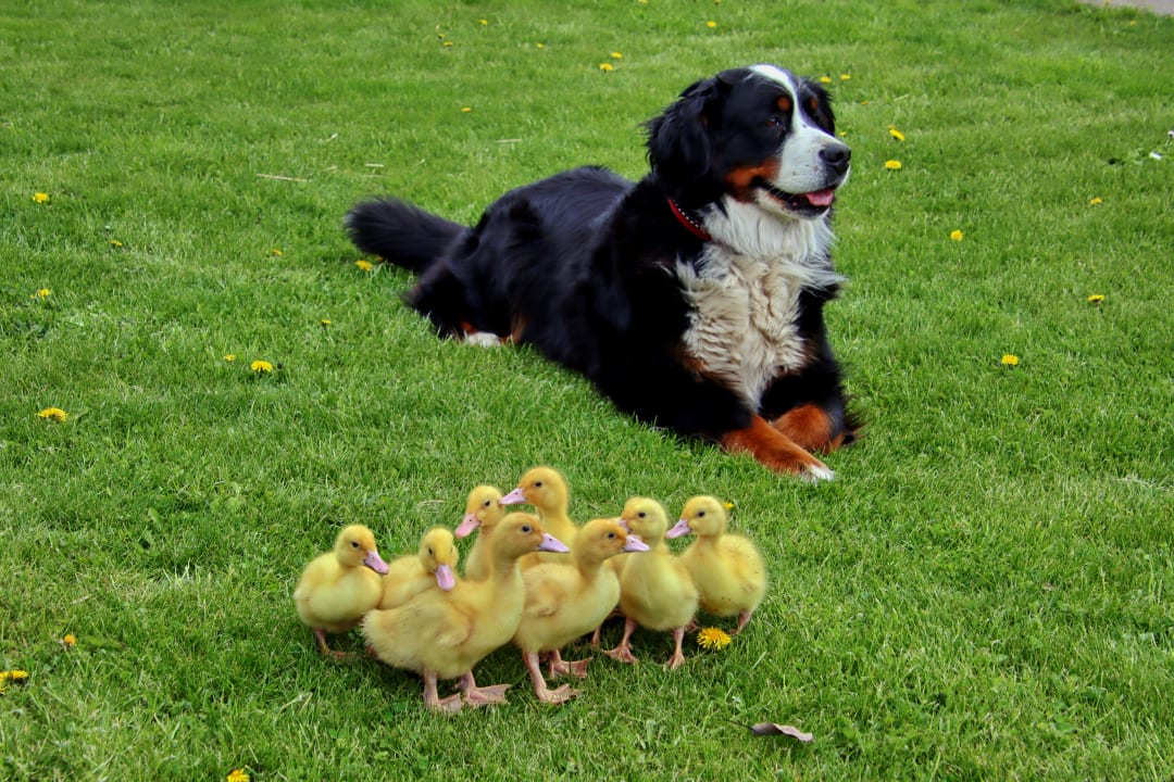 Sport & Freizeit Erlebnis-Bauernhof Kliewe