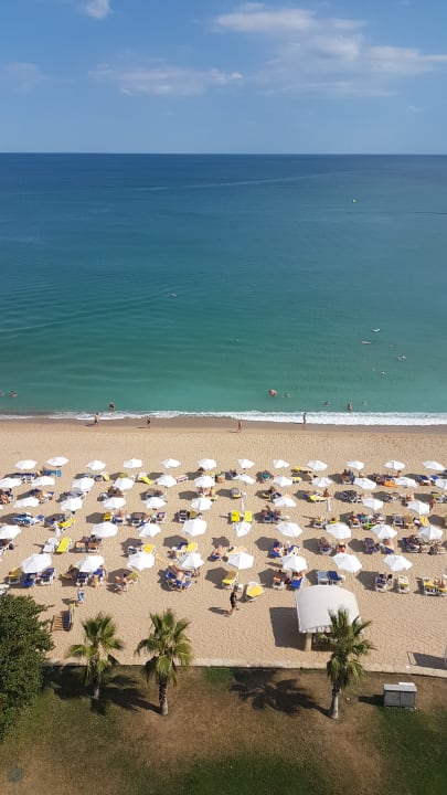 Strand Sentido Marea