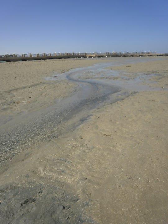 Strand bei Ebbe Pickalbatros Dana Beach Resort - Hurghada