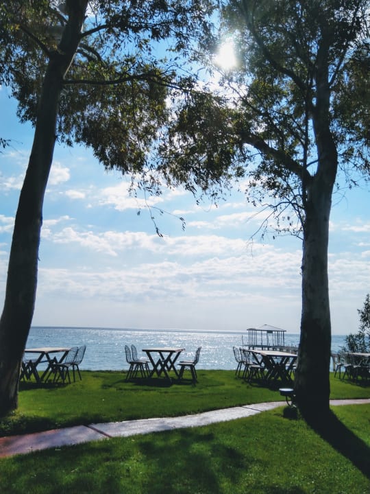 Gartenanlage TUI MAGIC LIFE Beldibi +16