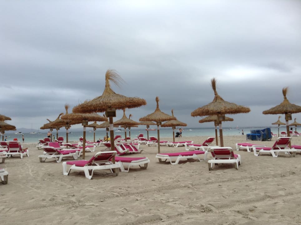 Strand Alcudia Garden Aparthotel