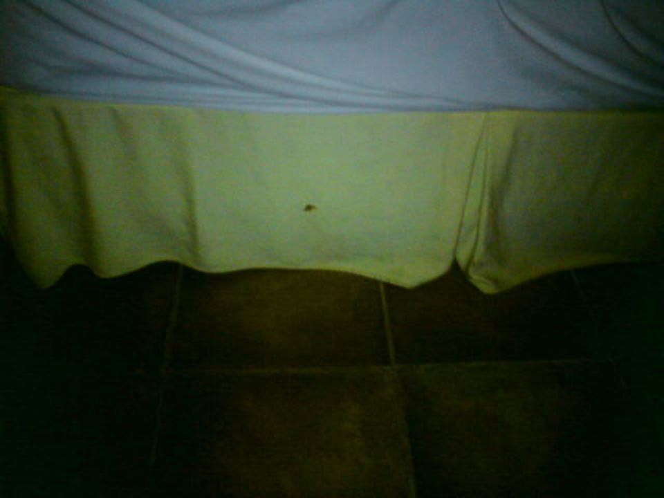 Fleck Bettdecke von ersten bis letzten Tag Wyndham Alltra Samana