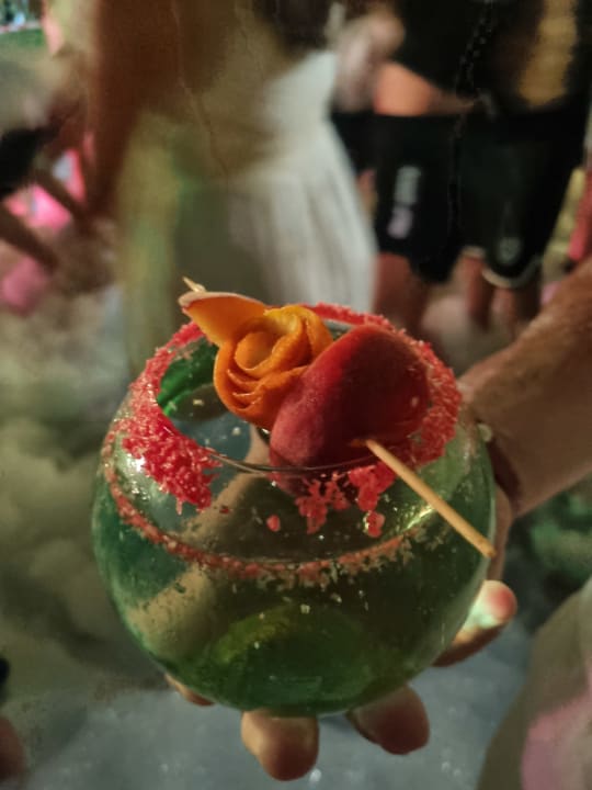 Gastro Hotel Royal Garden Beach