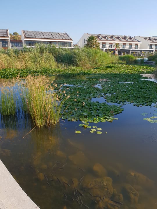 Gartenanlage Jiva Beach Resort