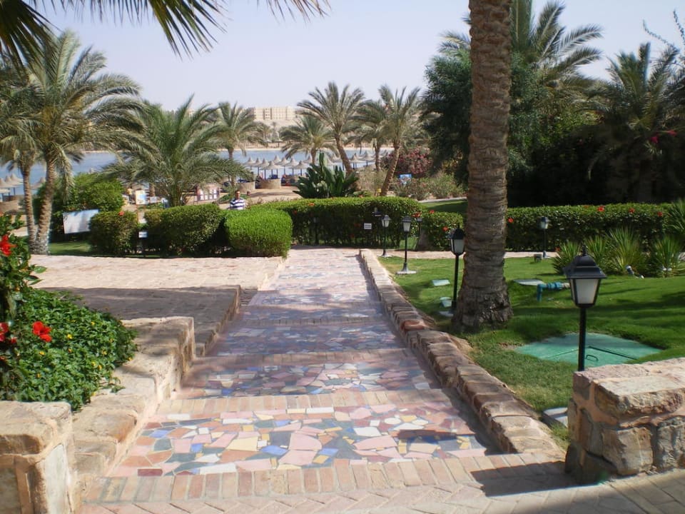 Path to the beach Steigenberger Coraya Beach - Adults only