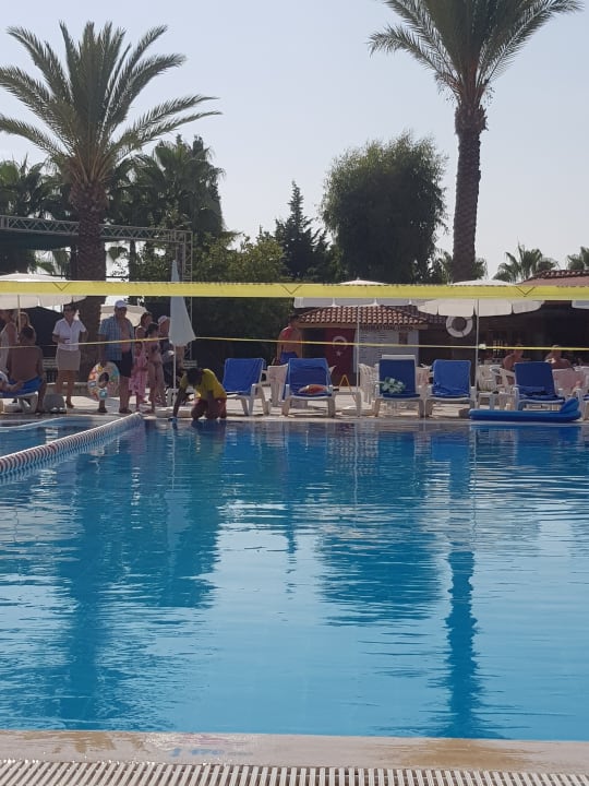Pool Hotel Miramare Beach