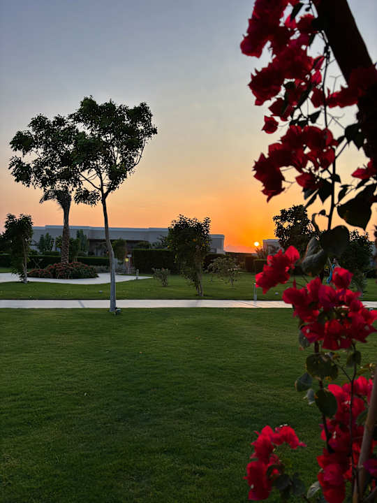 Ausblick Steigenberger Resort Ras Soma