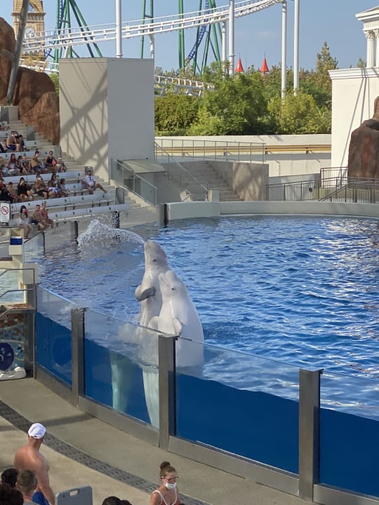 Sport & Freizeit The Land of Legends Kingdom Hotel