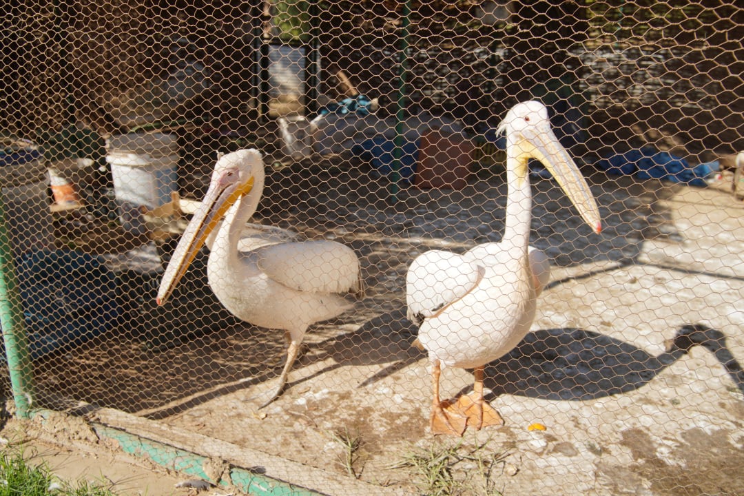 Gartenanlage Jolie Ville Kings Island Luxor