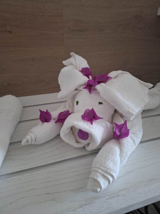 Zimmer Apollon Hotel