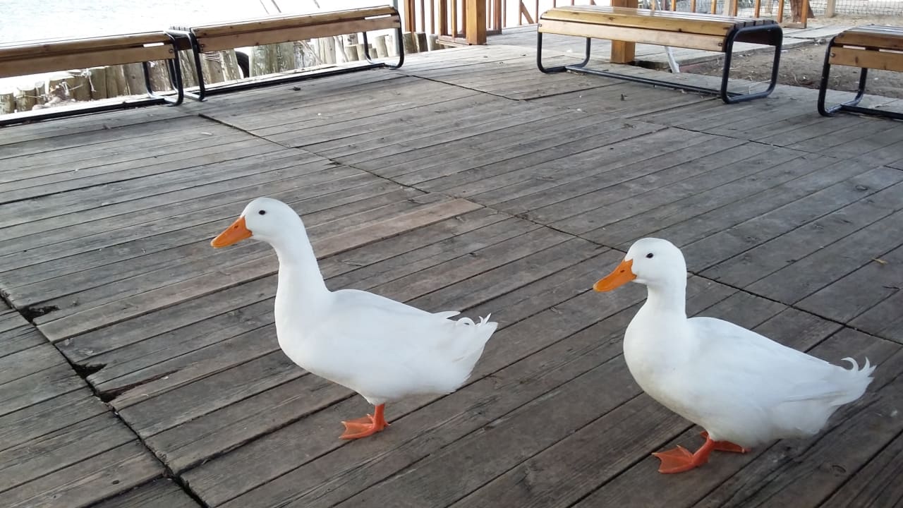 Sonstiges Titanic Deluxe Golf Belek