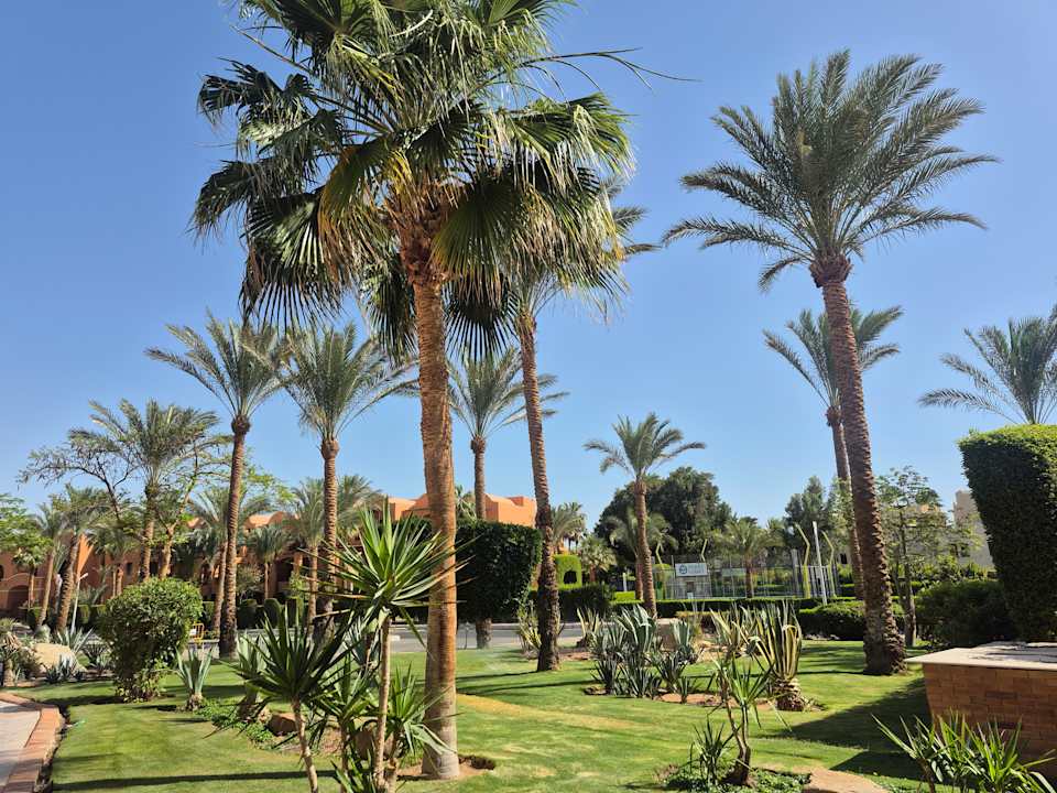 Gartenanlage Jaz Makadi Oasis Resort