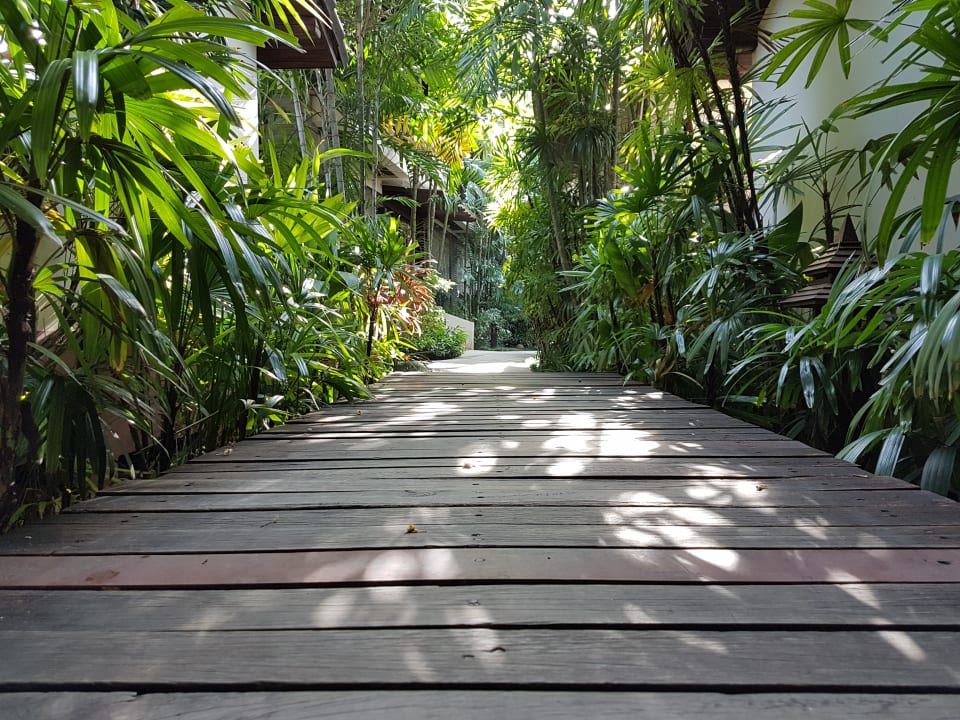 Gartenanlage Hotel Baan Chaweng Beach Resort & Spa