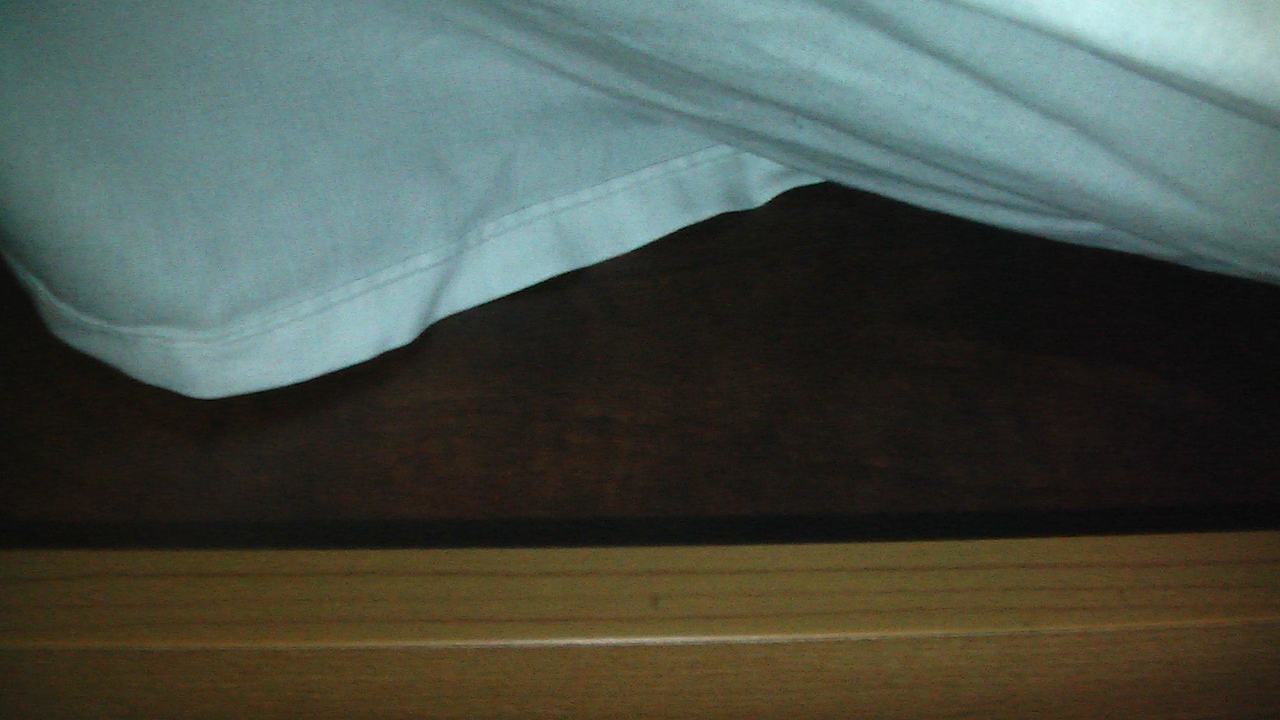 Bett - Matratze ca. 10 cm stark  Water Lily