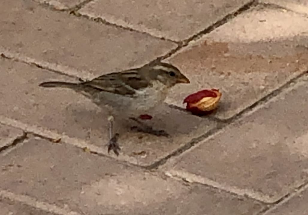 Sonstiges VOI Praia De Chaves Resort