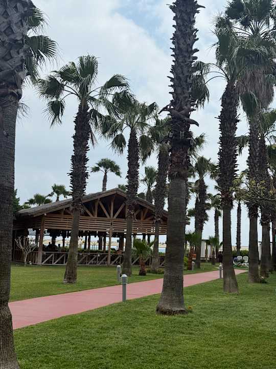 Gartenanlage Saturn Palace Resort Hotel