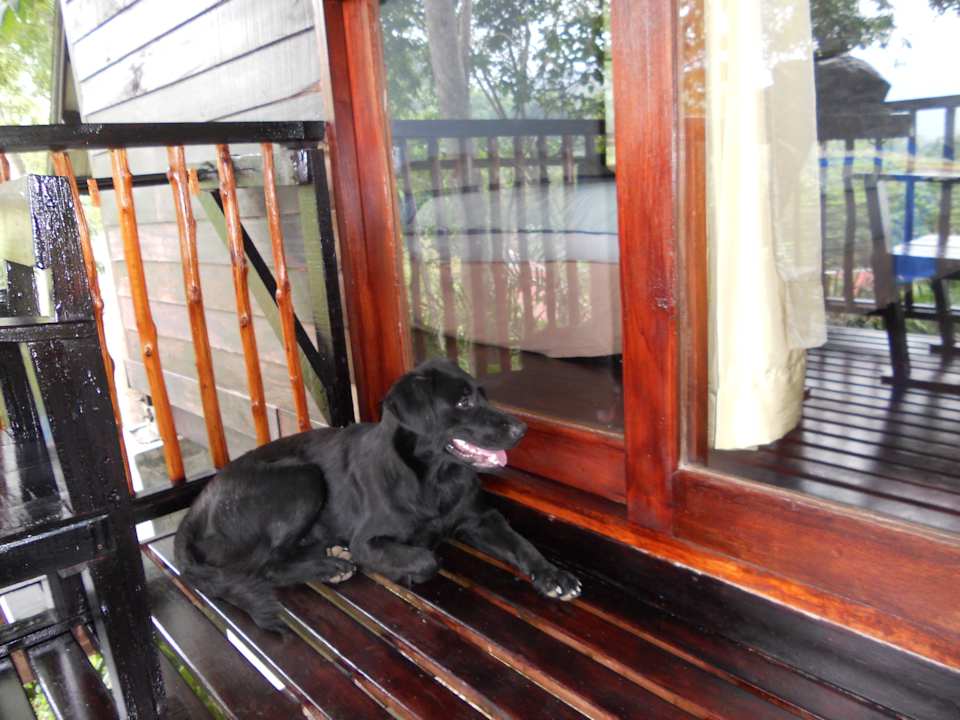 Plötzlicher Besuch Hotel Thongtapan Resort