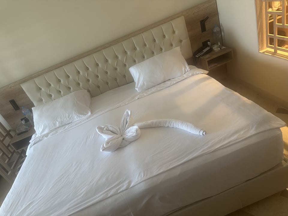 Zimmer Steigenberger ALDAU Beach Hotel