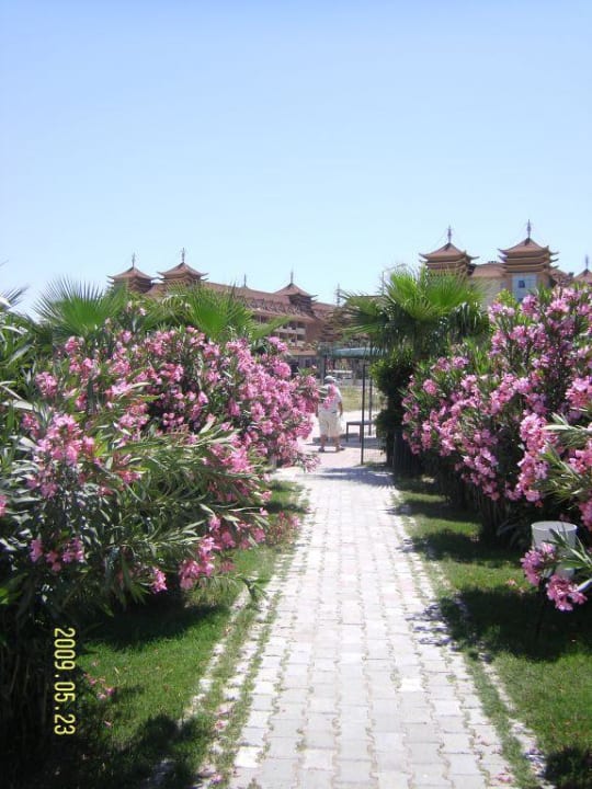 Der Weg zum Strand Hane Family Resort