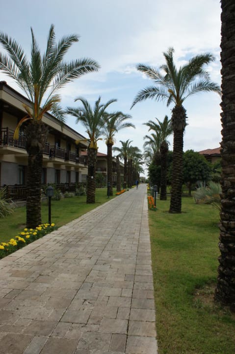 Ogród TUI BLUE Palm Garden