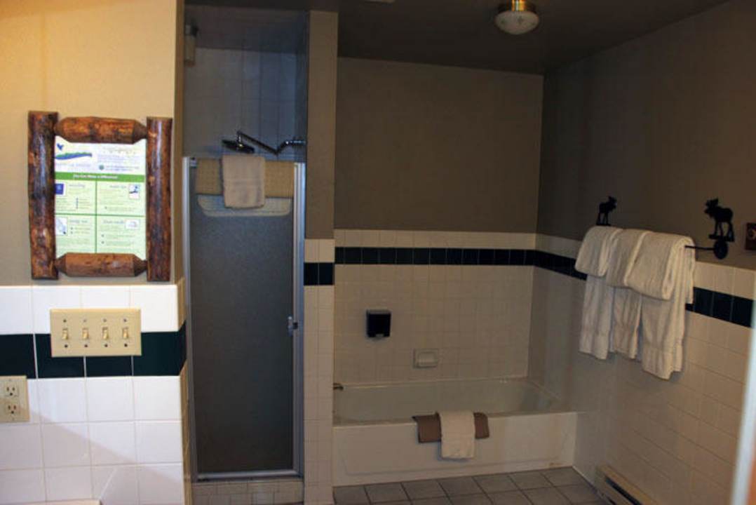 Teilansicht Bad/WC, Cabin 179 Hotel Signal Mountain Lodge