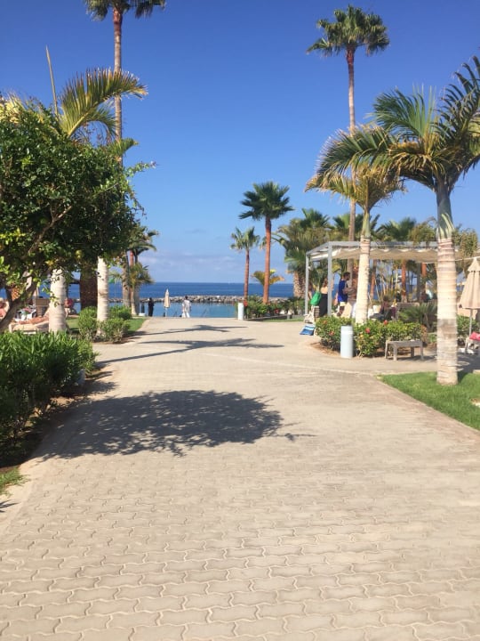 Gartenanlage Hotel Riu Palace Tenerife