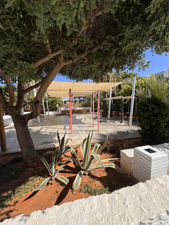 Sport & Freizeit Paralos Lifestyle Beach