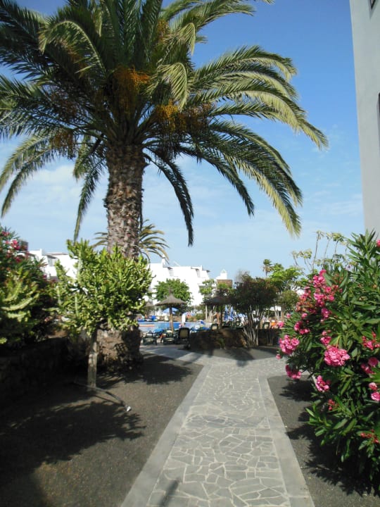 Der Weg zum Pool allsun App.-Hotel Albatros