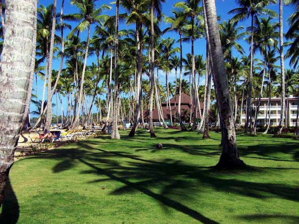 Gartenanlage Viva V Samana by Wyndham – Adults Only