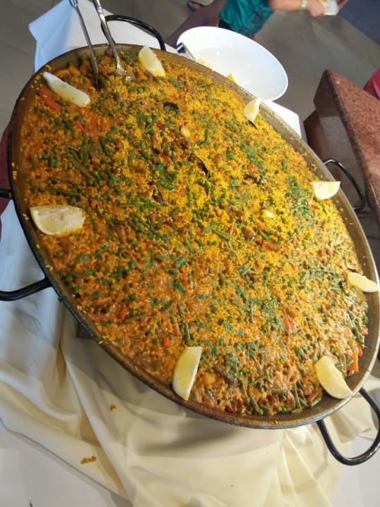 Gastro blau punta reina