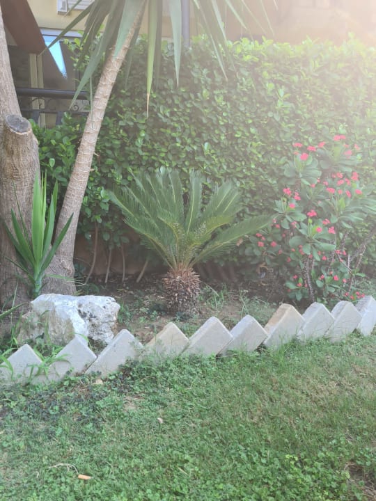 Gartenanlage Hotel Arabella World