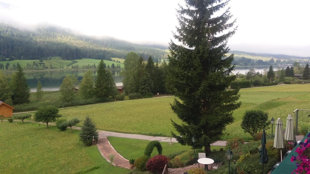 Ausblick Hotel Wiesenhof direkt am Weissensee