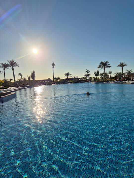 Pool Steigenberger Resort Ras Soma