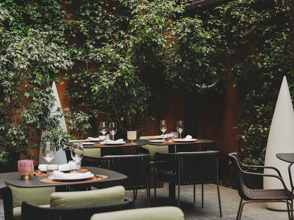 Gastro Gallery  Hotel