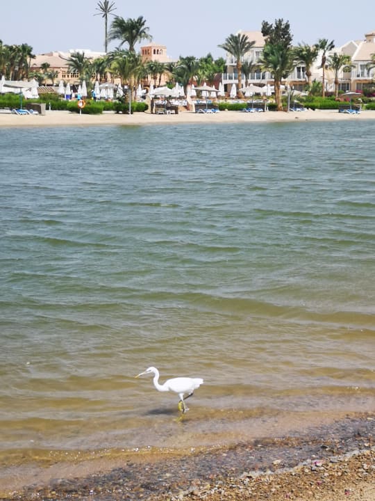 Strand Mövenpick Resort & Spa El Gouna