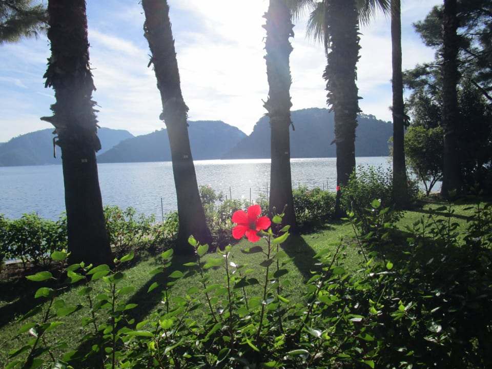 Garten Labranda Mares Marmaris