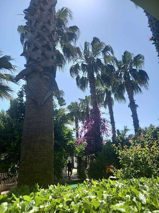 Gartenanlage Hane Family Resort