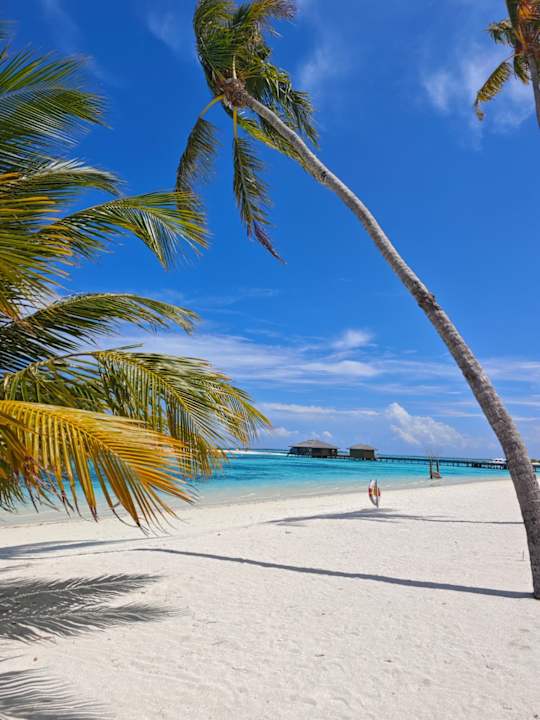 Strand Cocoon Maldives