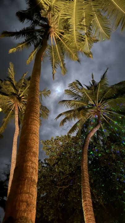 Gartenanlage Filitheyo Island Resort