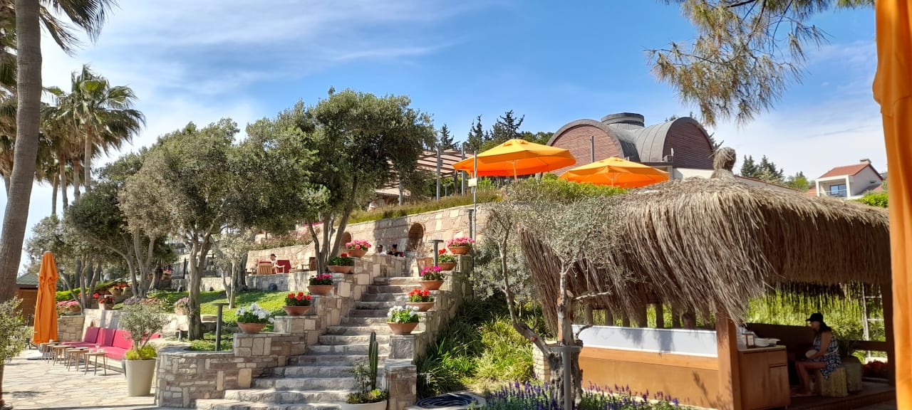 Gartenanlage Arum Barut Collection