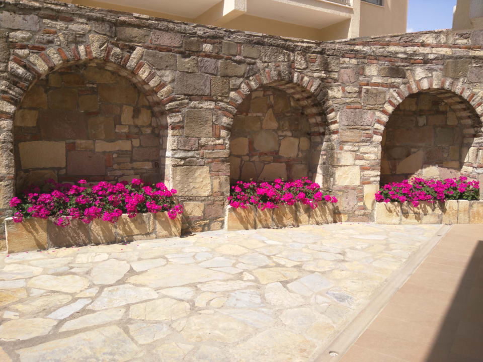Gartenanlage Arum Barut Collection